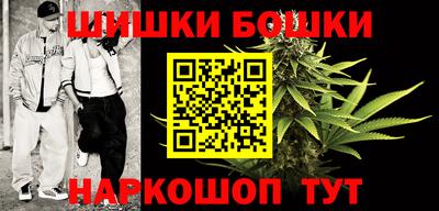 прущие грибы Партизанск