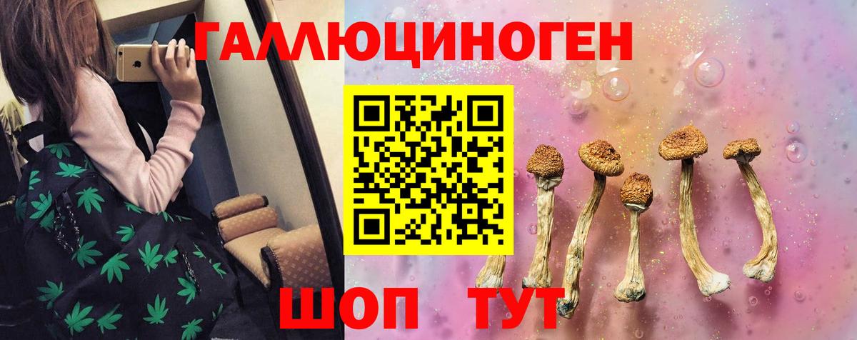 Галлюциногенные грибы ЛСД  Псилоцибиновые грибы мухоморы  Заводоуковск  Вход с VPN 