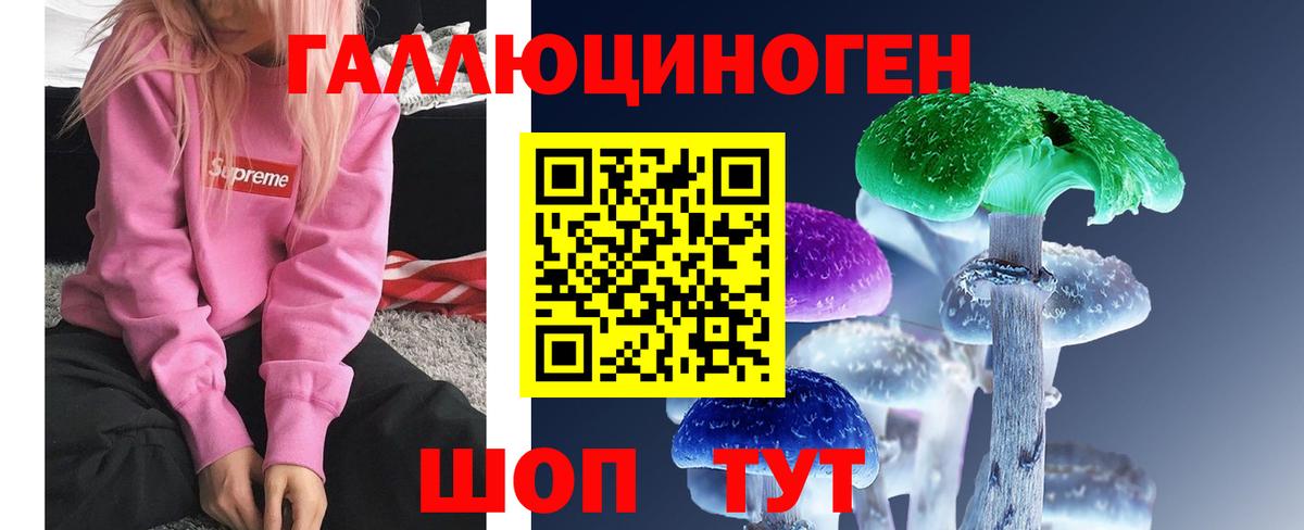 Псилоцибиновые грибы прущие грибы Заводоуковск